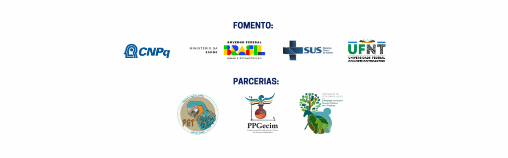 Desinformação e Fakemews (1600 x 900 px) (6)