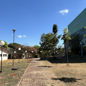 UFNT publica edital para eleição da Comissão Interna de Supervisão da Carreira dos Técnicos-Administrativos
